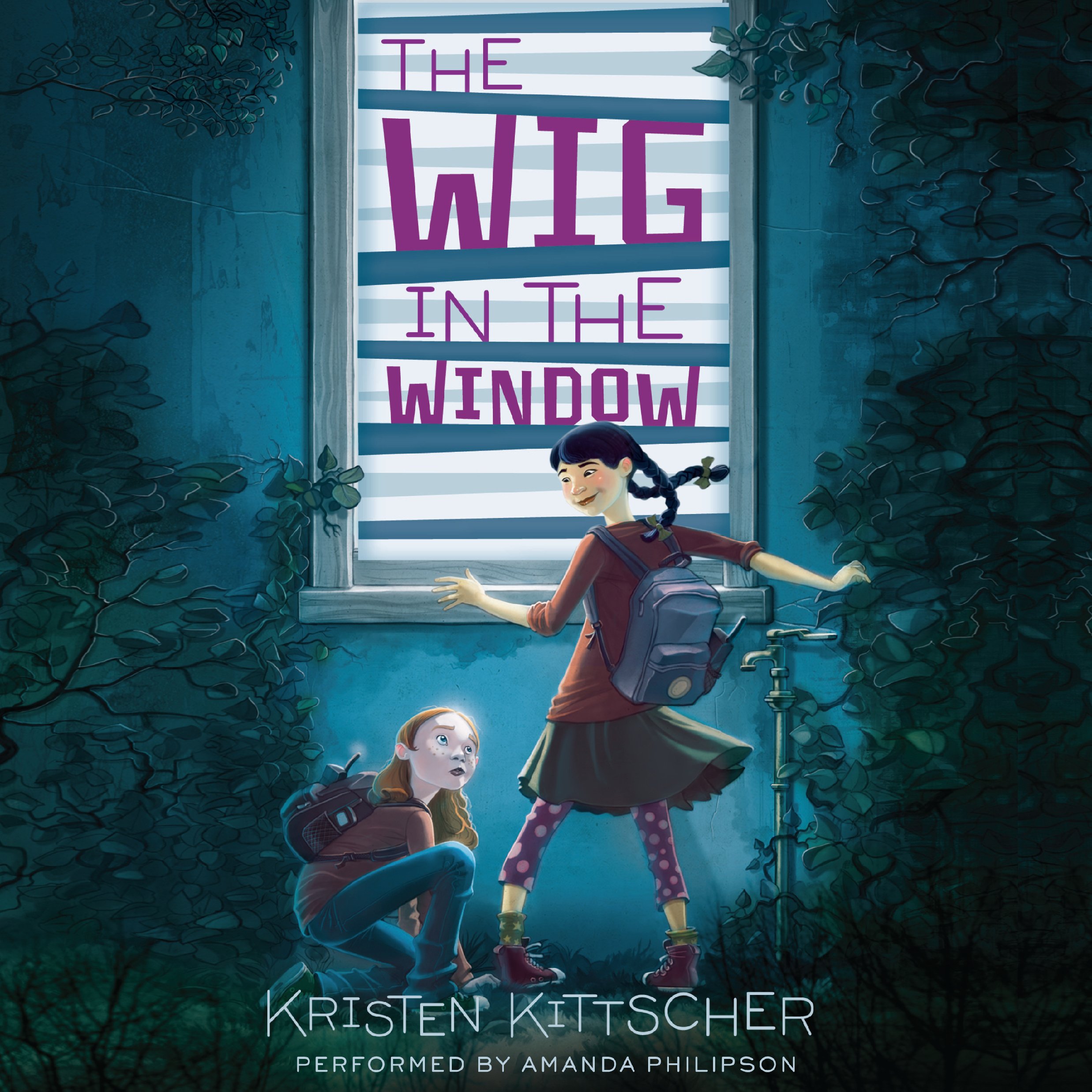 Cover art for The Wig in the Window