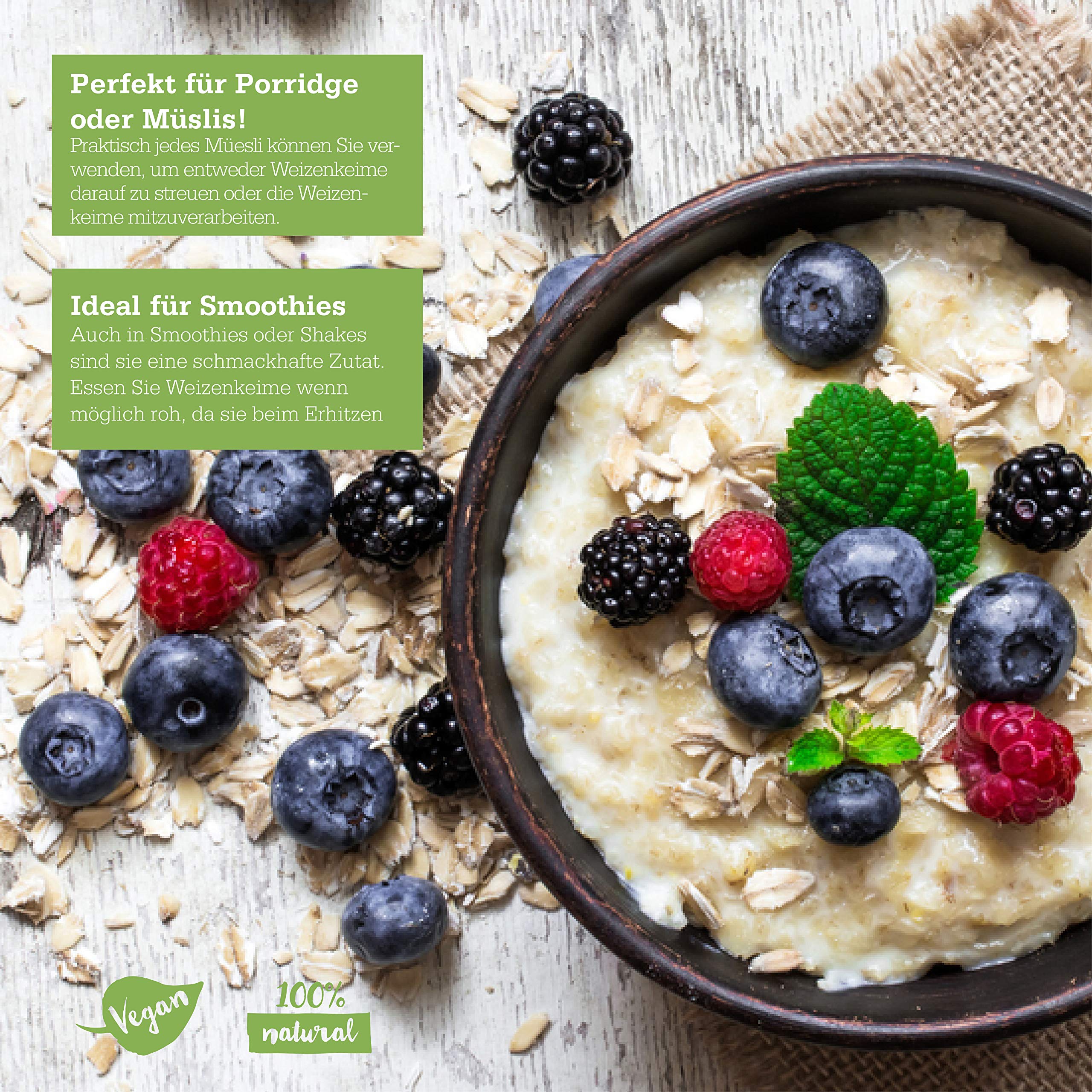 Senger's 5 kg Weizenkeime frisch, roh, vegan, proteinreich Natur aus Österreich Superfood (5 KG)