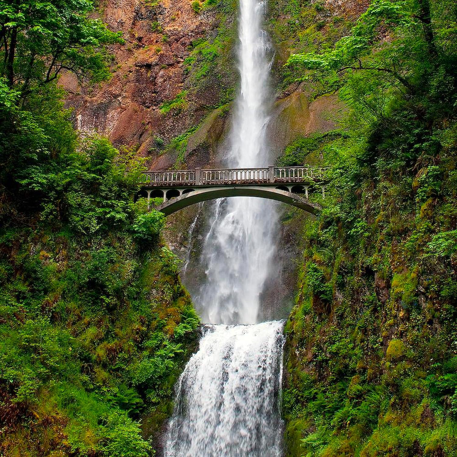 CafePress Multnomah Waterfall at Oregon. Colu Round 4" MDF Holiday Ornament