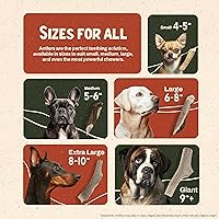 Vista 5 de Heartland - Cuernos de alce para perros, grado A, cuernos de desprendimiento natural Huesos de perro para masticadores agresivos y cachorros