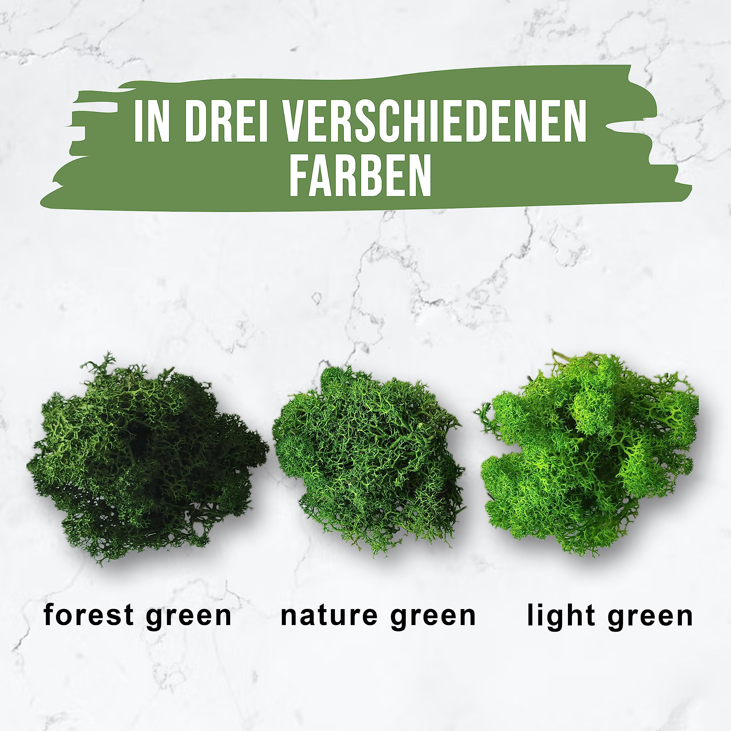 Eurofoto Islandmoos konserviert - echtes Natur-Moos zum Basteln und zur Dekoration - Farbe: Nature Green - Karton mit 1 kg Inhalt