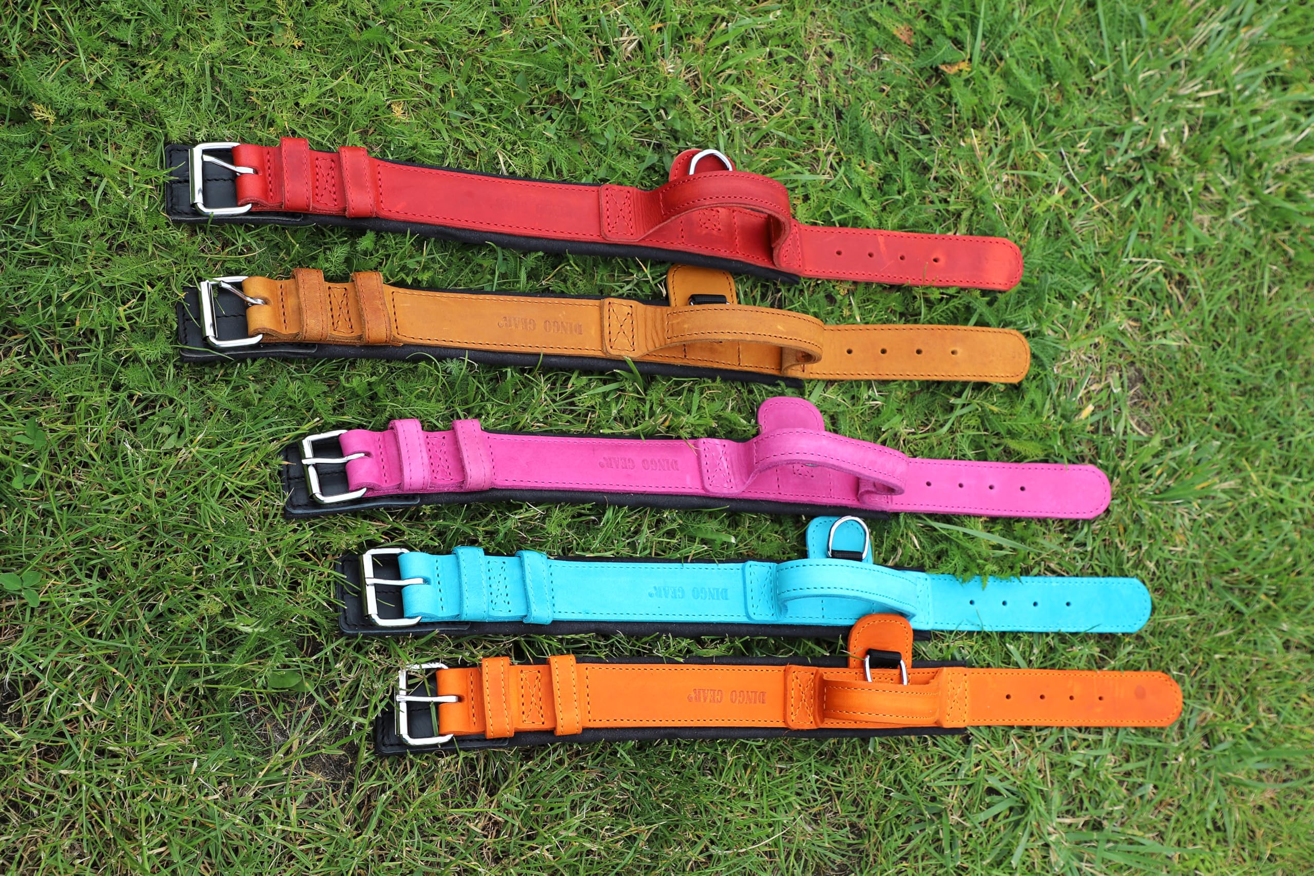 Dingo Gear Collar para Perro Drago de Cuero, Amortiguado con Asa Ancha y Fuerte, Hecho a Mano, Circunferencia del Cuello 40-48 cm, para Entrenamiento y Paseos, Marrón (S03910)