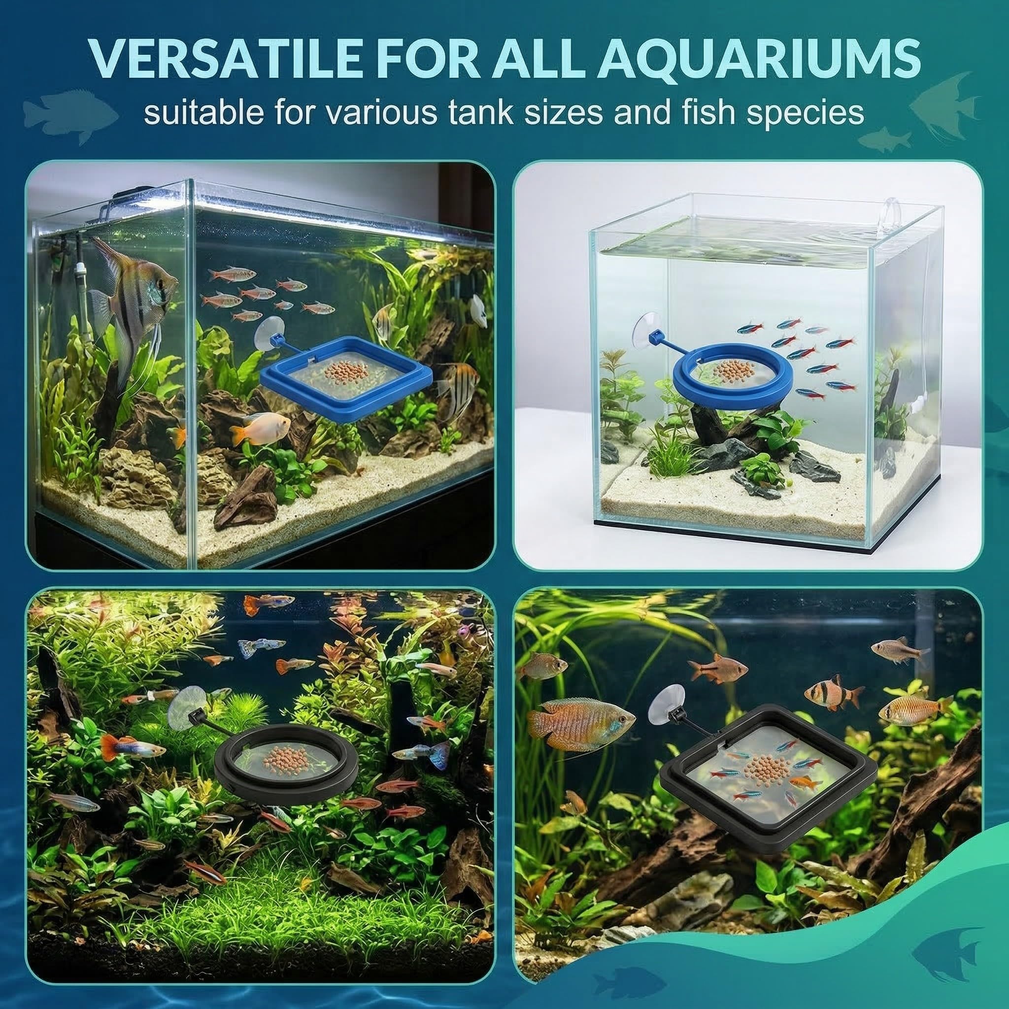 Dispenser Food Black Fish Accessories Mangiatoia Automatica Acquario for Aquarium Tank Turtle Circle Guppy Betta Goldfish