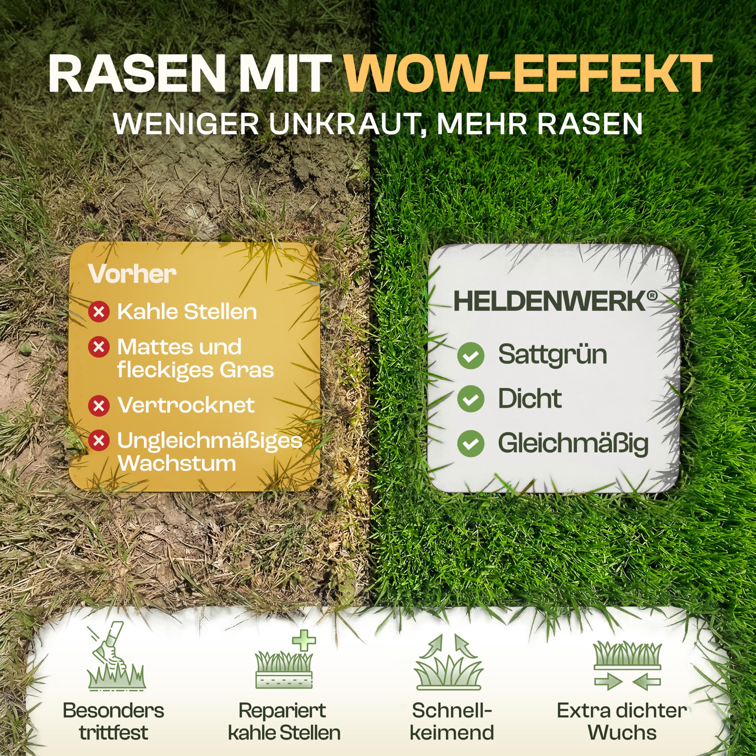 HELDENWERK® Nasiona trawnika, szybko kiełkujące, 0,5 kg/20 m², 100% kiełkowania, na niemiecką pogodę, nasiona trawy do dodatkowego siewu i nowego siewu, do uprawiania sportu i zabawy