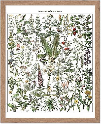 Miniatura 283 de Poster Master Póster vintage de orquídea, estampado de flores retro, arte de pared de plantas exóticas, arte botánico, regalo para hombres y