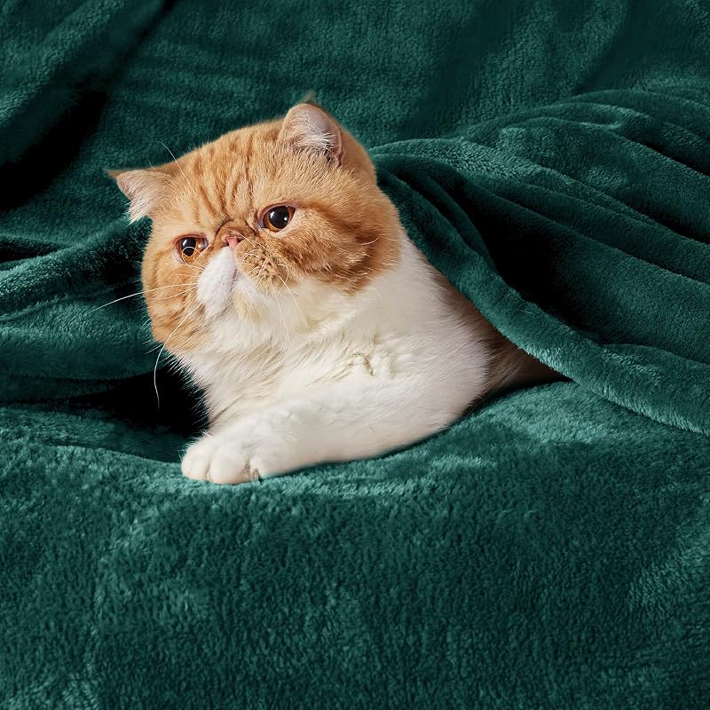 BEDSURE XXL Puha Fleece Takaró 230x270 cm, Meleg Téli Pléd Kanapéra, Sötétzöld