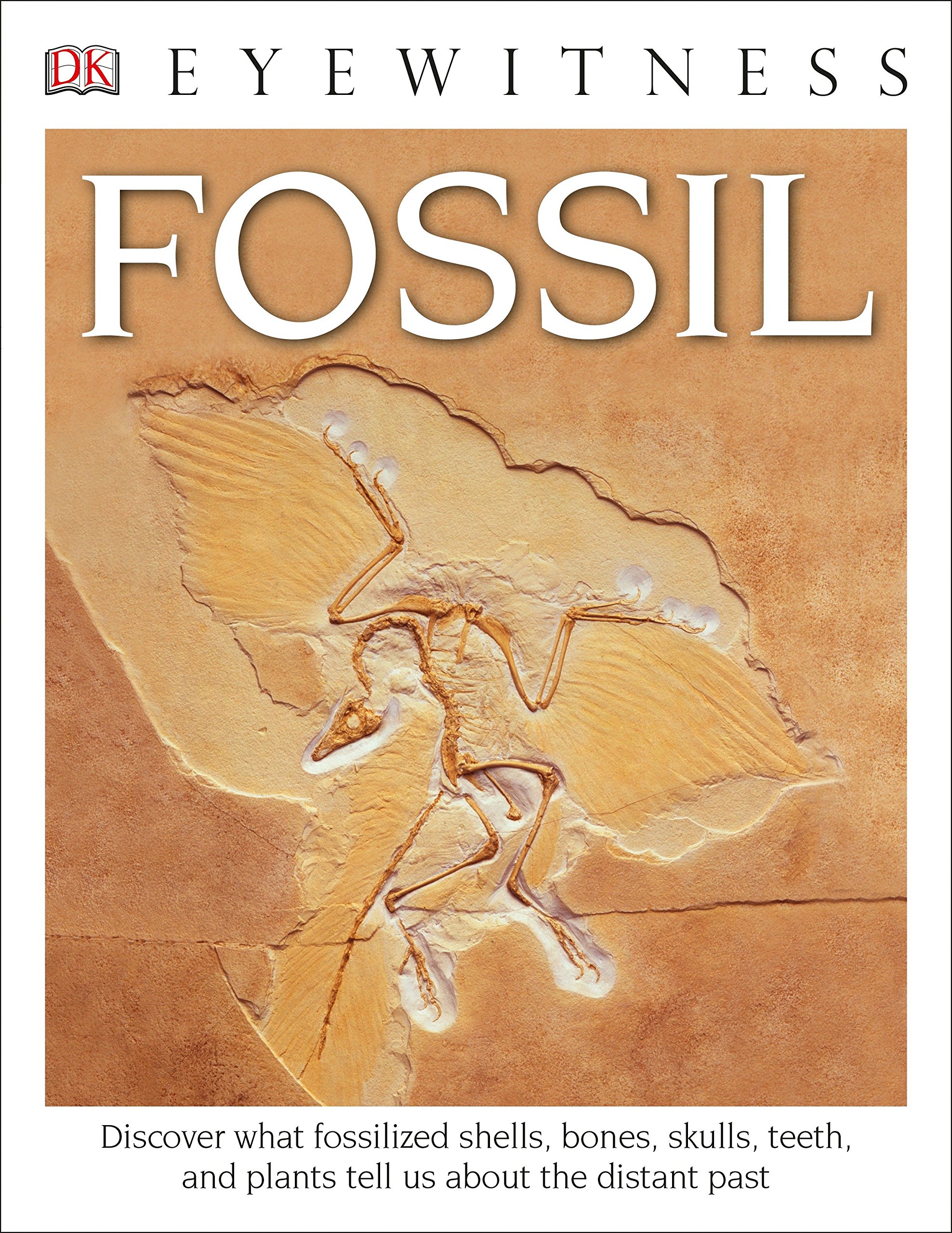 Eyewitness Fossil