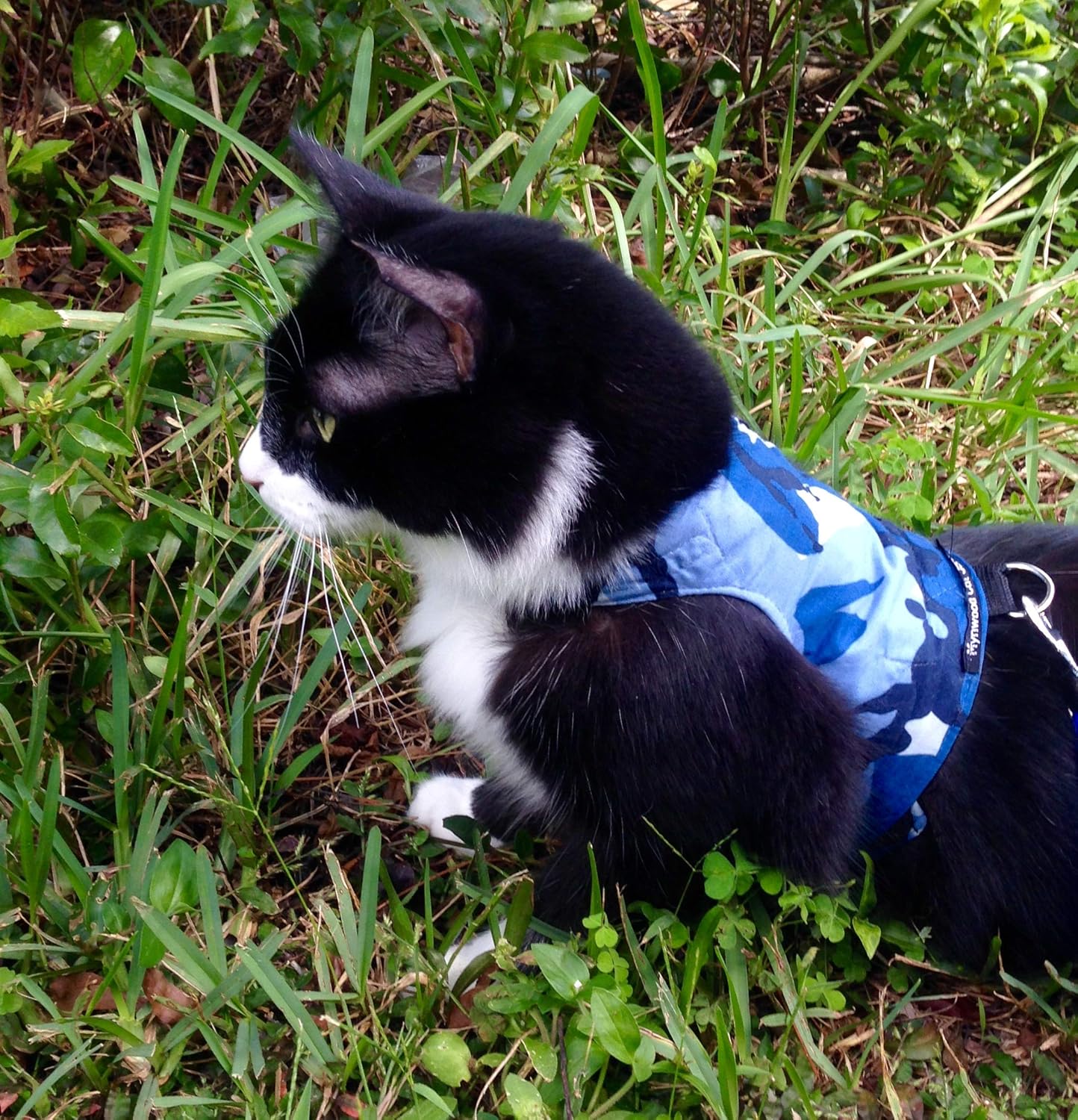 Mynwood Cat Jacket/Harness Blue Combat Adult Cat