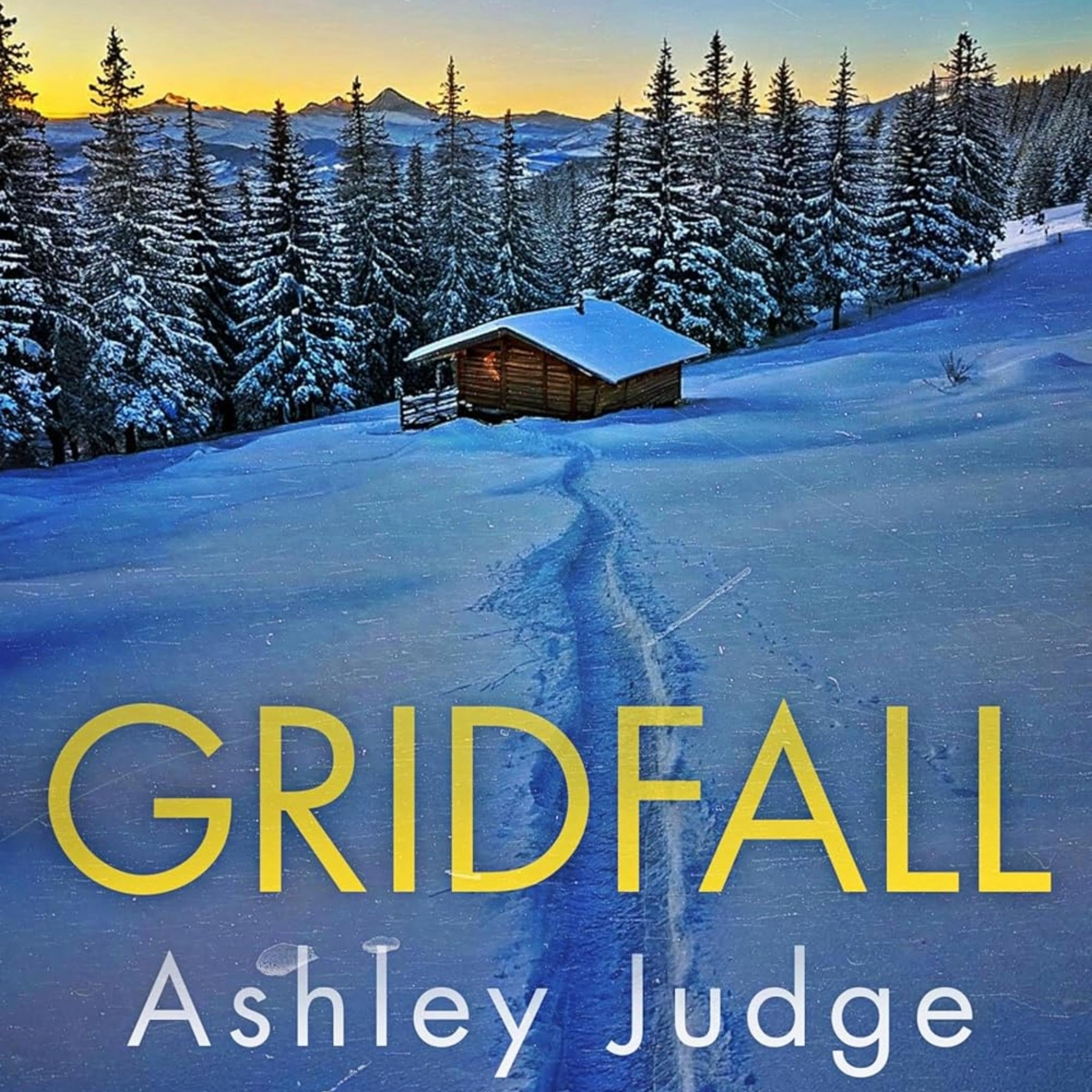 Cover art for Gridfall
