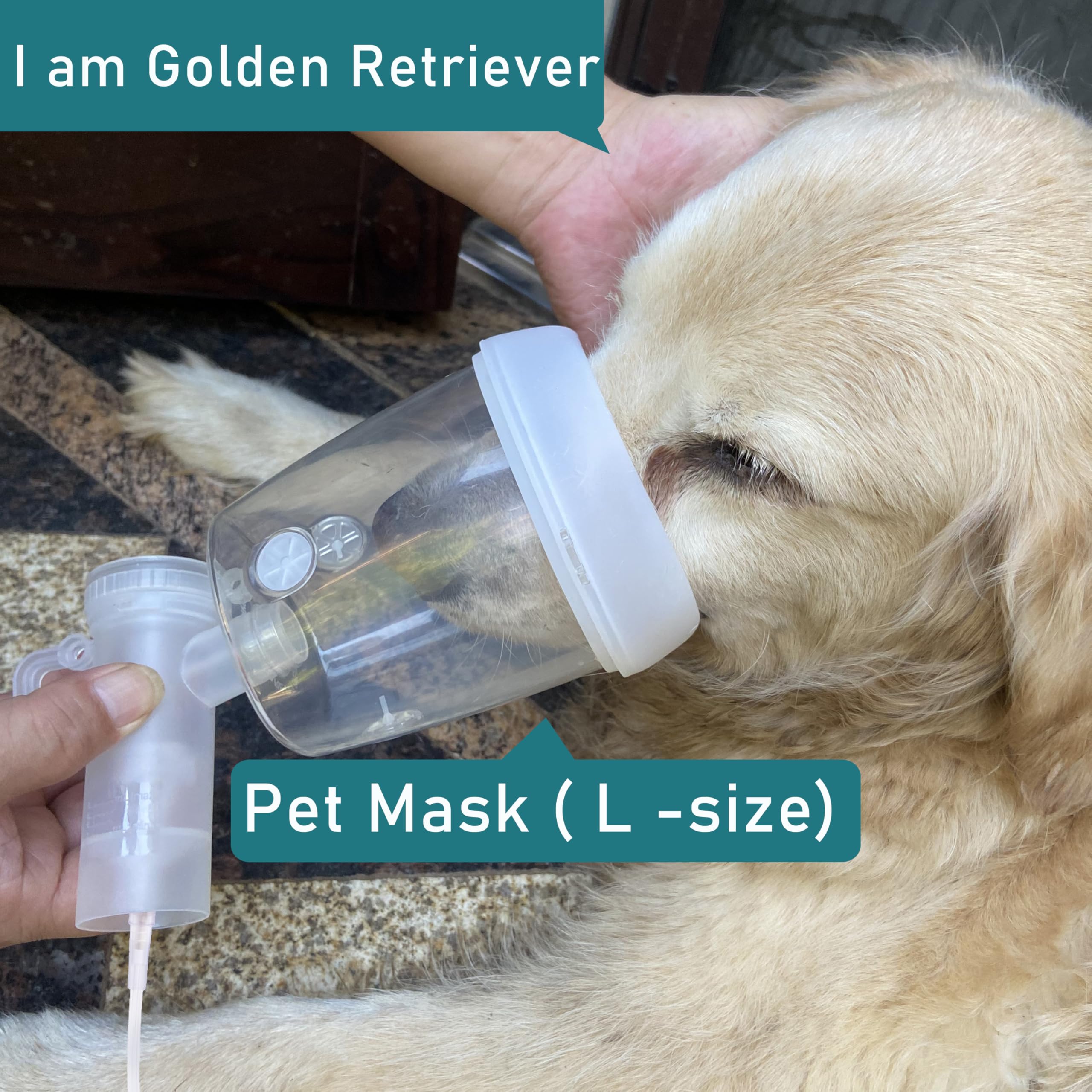 Taza nebulizadora para Mascotas y mascarilla inhaladora para Gatos y Perros pequeños, mascarilla de oxígeno para Mascotas (no Incluye máquina nebulizadora) (L - Perros Grandes)