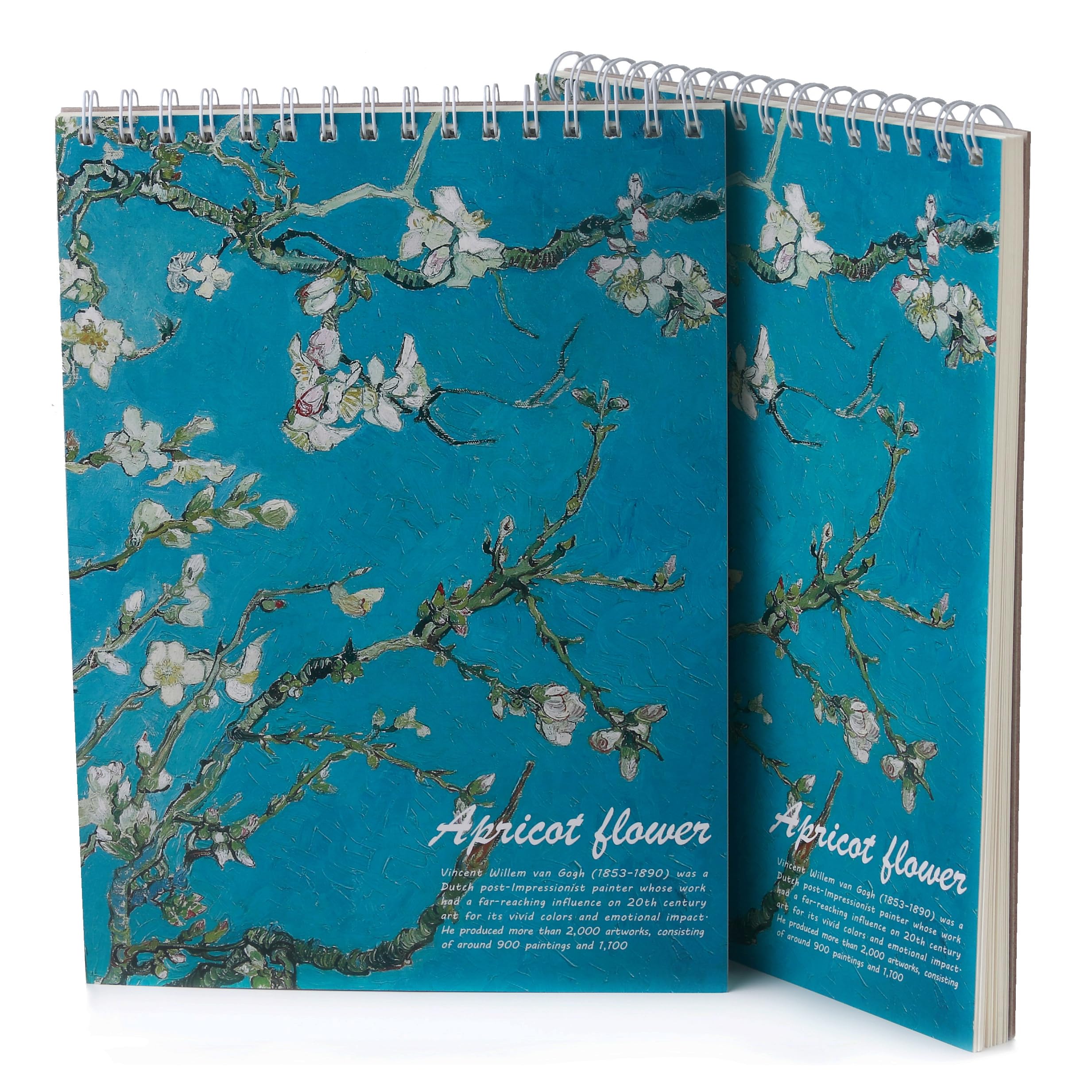 2 Pack Aesthetic Spiral Cute Sketch Book,98lb/160gsm Acid Free Thick Paper Van Gogh A4 Blank Mixed Media Journal Art Sketchbook Artist Drawing Book Paper Painting Sketching Pad
