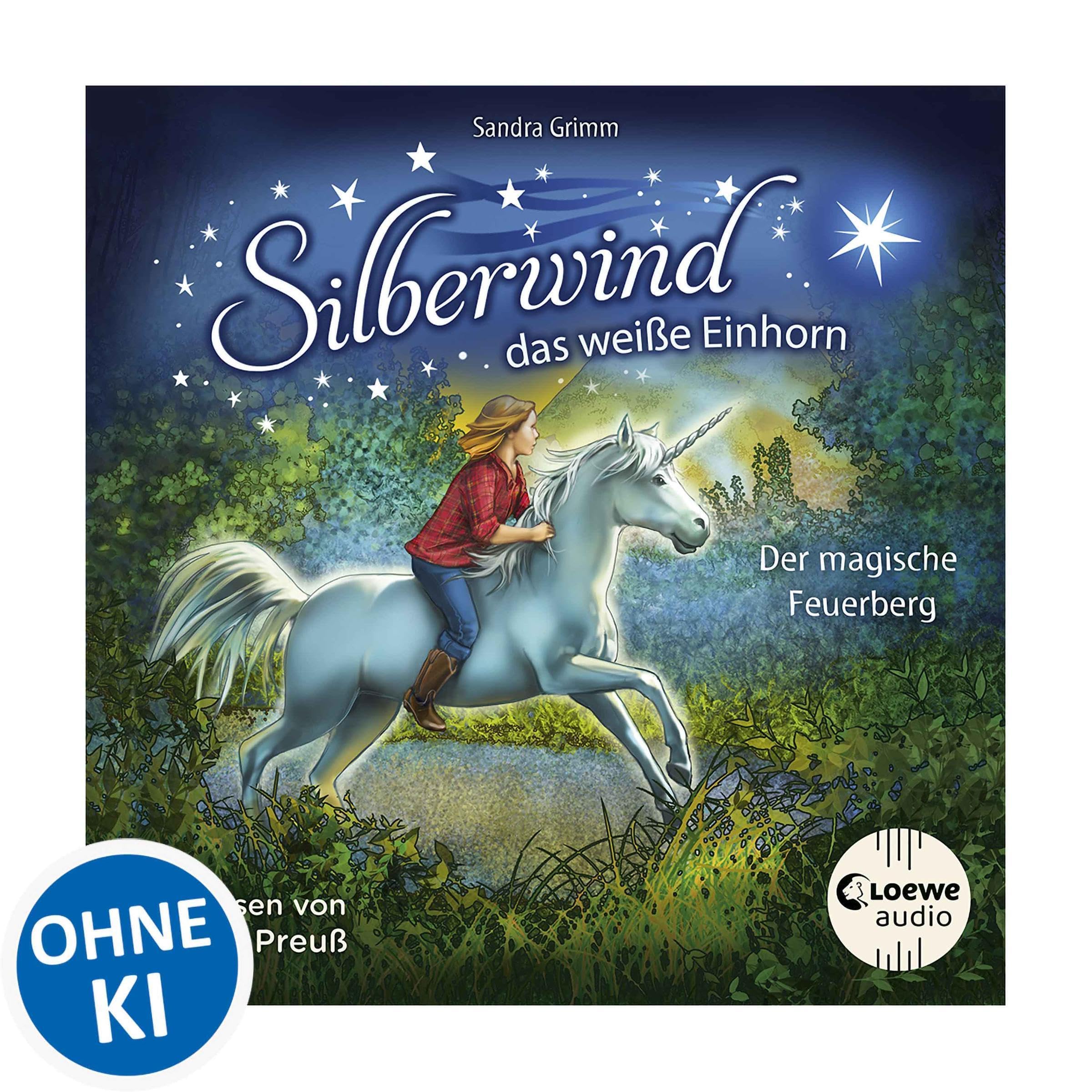 Cover art for Der magische Feuerberg