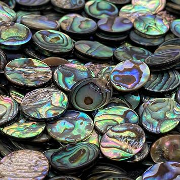 ABCGEMS 28Pcs AAA Abalone Shell Beads from New Zealand - Oval 10X14mm