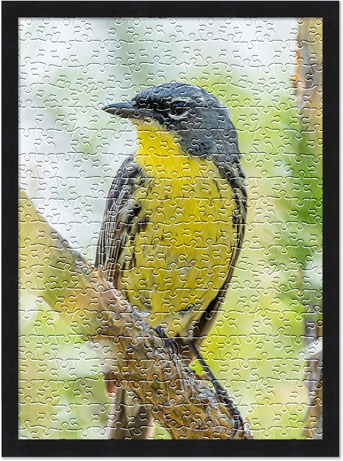 Poster Palooza 16x20 Jigsaw Puzzle Frame Kit - Kit Includes Puzzle Glue Sheets, Black Wood Puzzle Frame, UV Acrylic, Backing, Hanging Hardware