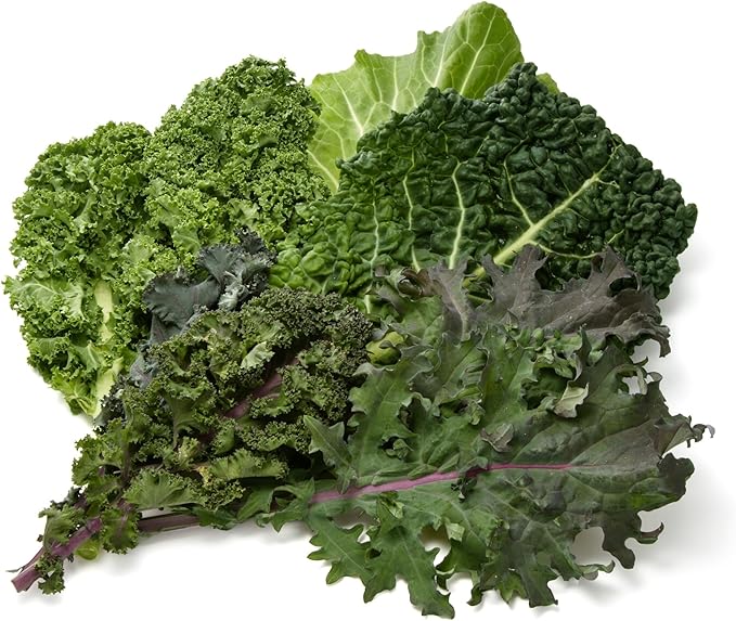 最近は週1で注文している(鹿児島県産 サン・グリーンズ 季節のケール3種詰合せ 1パック 150g)