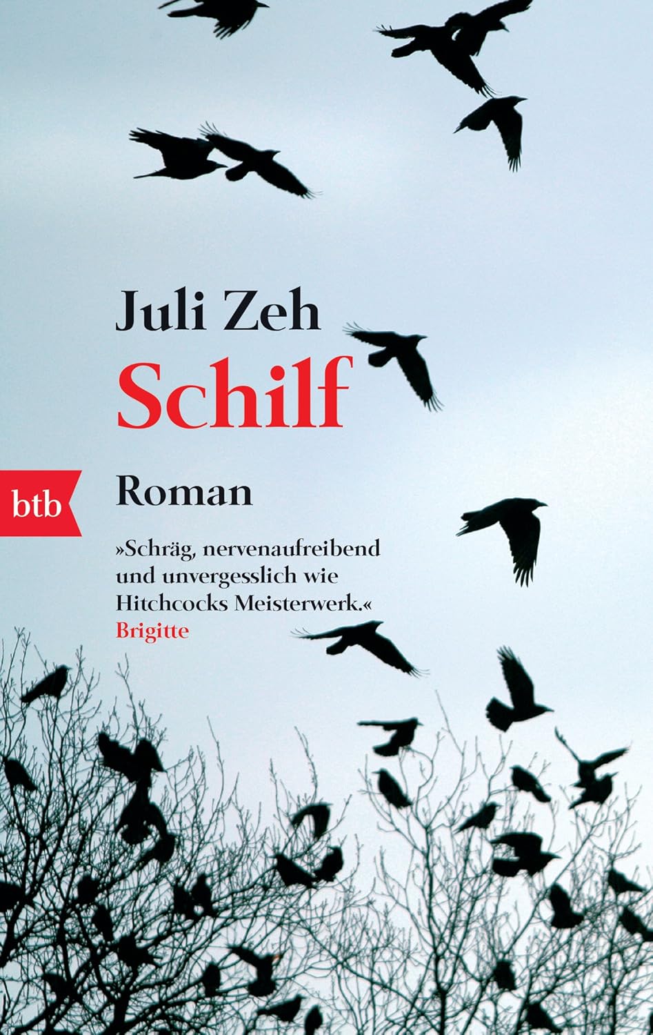 Schilf Roman Zeh, Juli Amazon.de Bücher