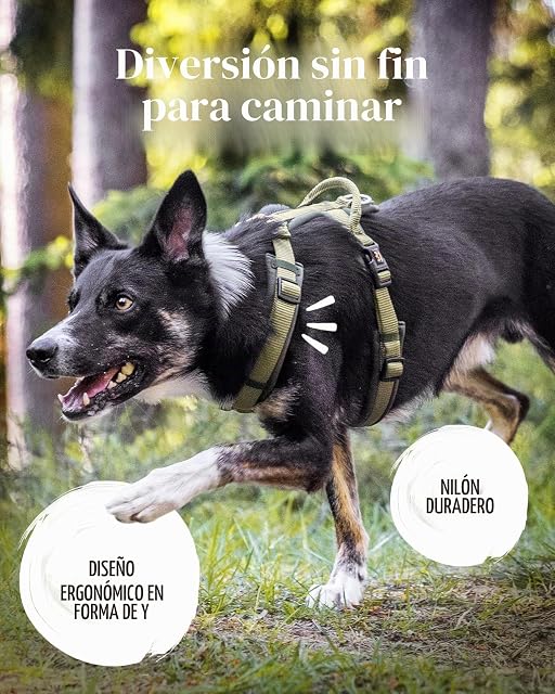 Foto 6 de 6 de Rudelkönig Arnés para Perro Bella - Ajustable con Asa y Acolchado