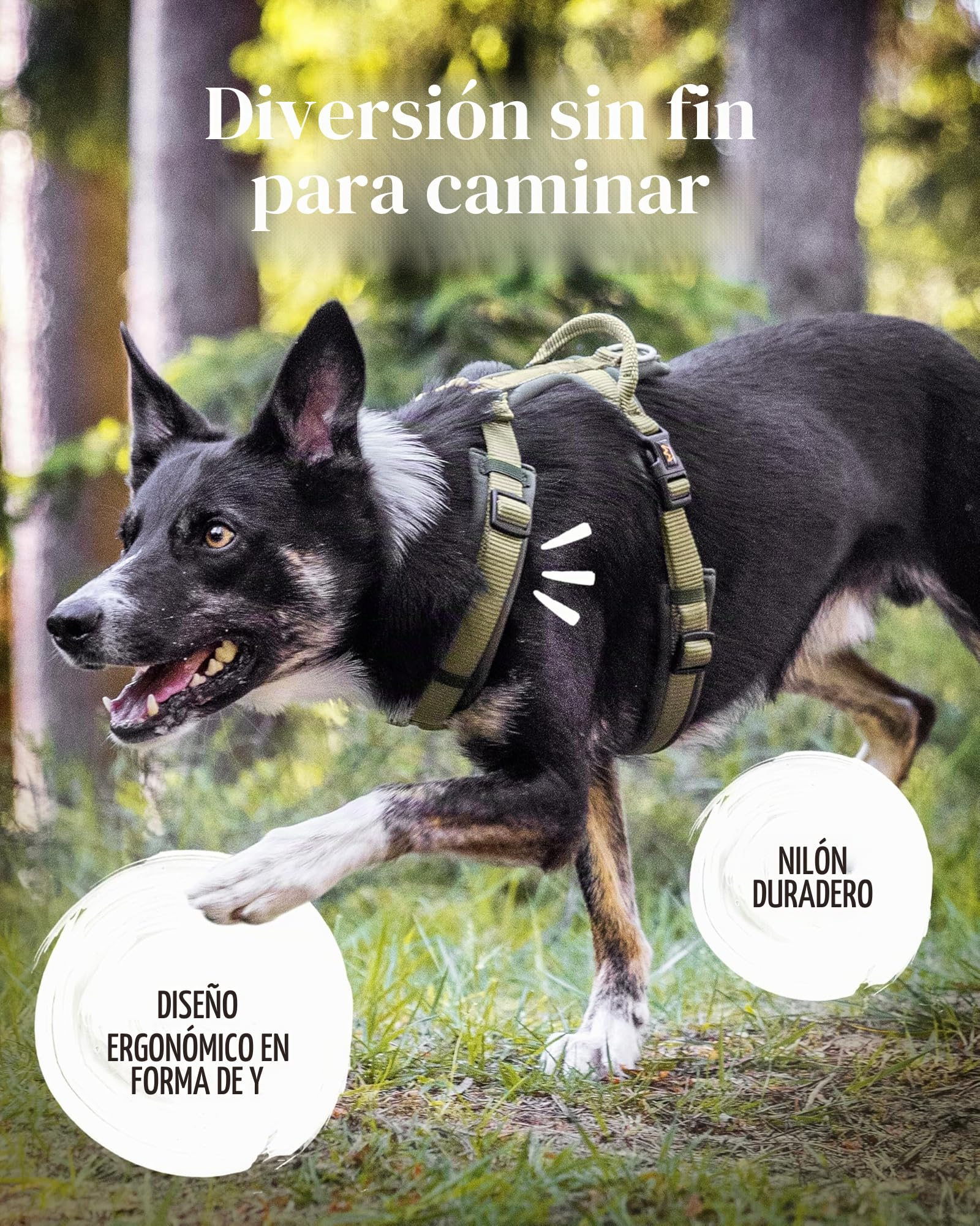 Rudelkönig Arnés para Perro Bella - Arneses para Perros con asa - Arneses de Perro Ajustables para Perros Grandes