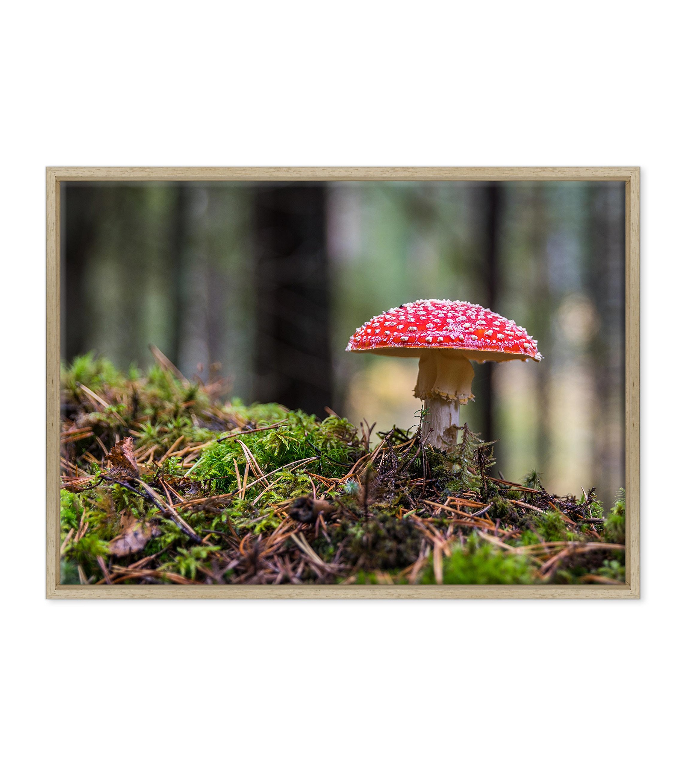 Bild auf Leinwand, gerahmt, mit Rahmen, Pilz, roter Kopf, Landschaft, Natur Panorama, 50 x 70 cm, moderner Stil, Naturholz (Code 3706)