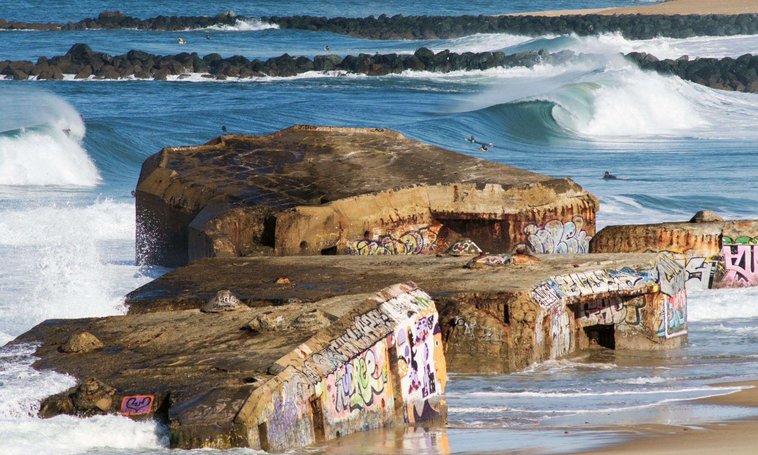 WAVE CULTURE Surfcoach: Trainingsbuch und Travelguide für Wellenreiter