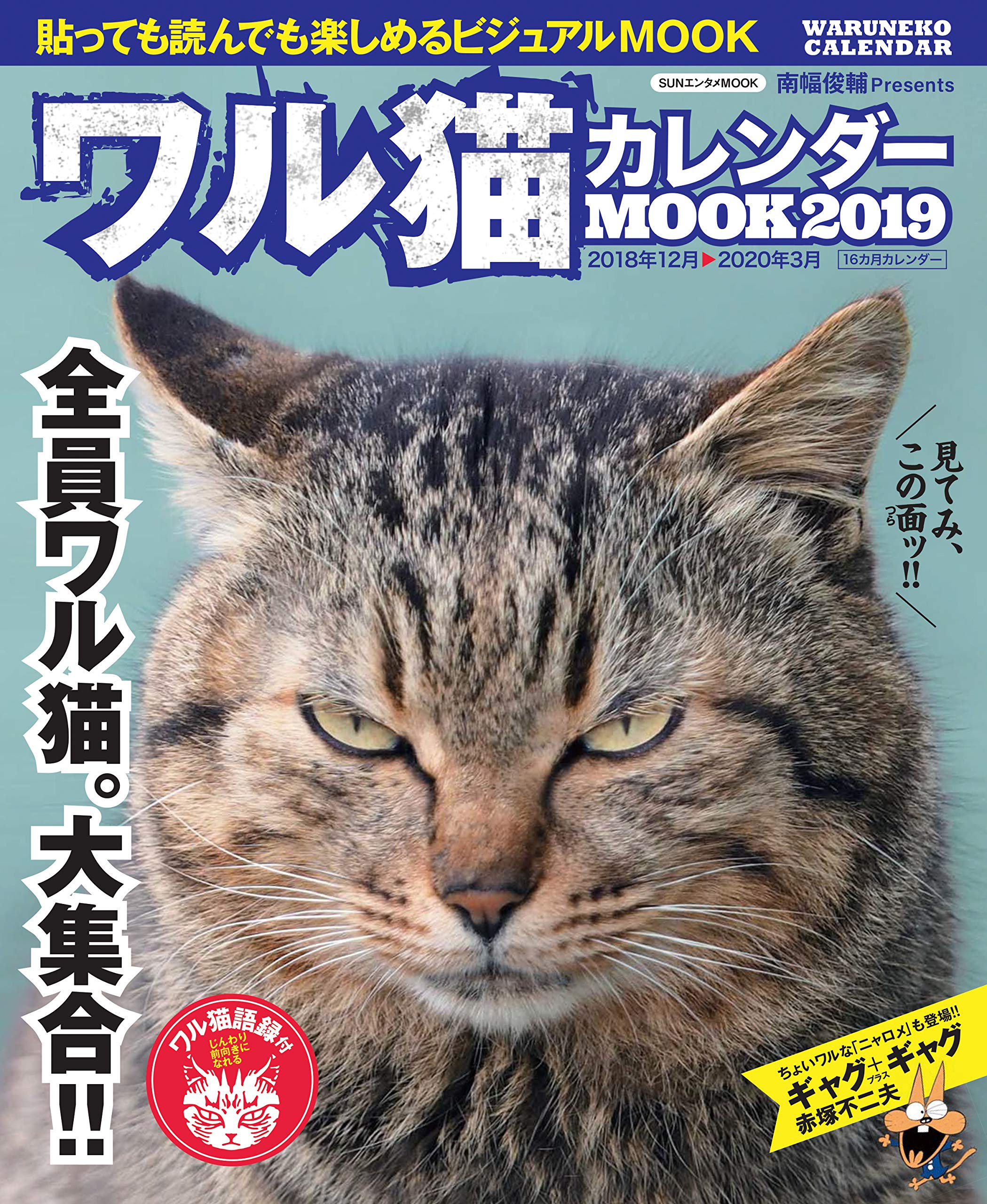ワル猫カレンダーmook19 Sunエンタメmook 南幅 俊輔 本 通販 Amazon