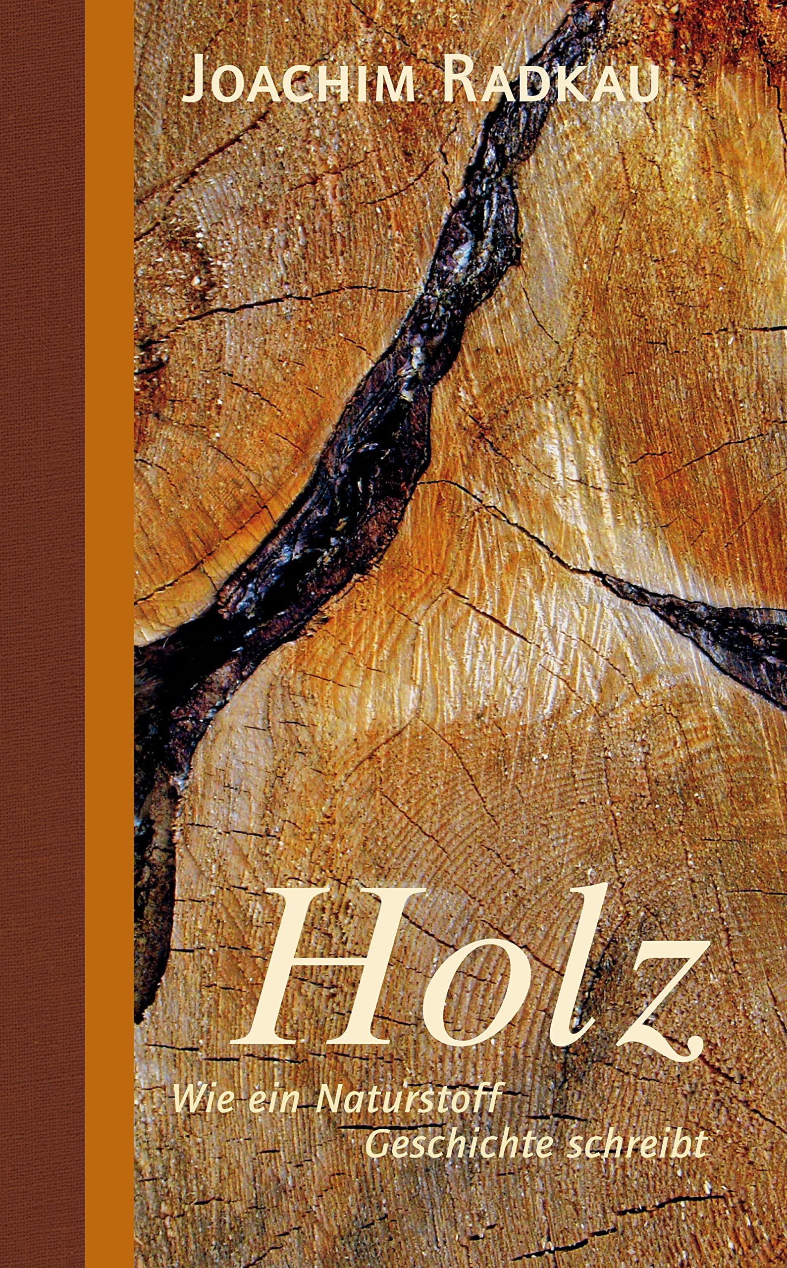 Holz: Wie ein Naturstoff Geschichte schreibt