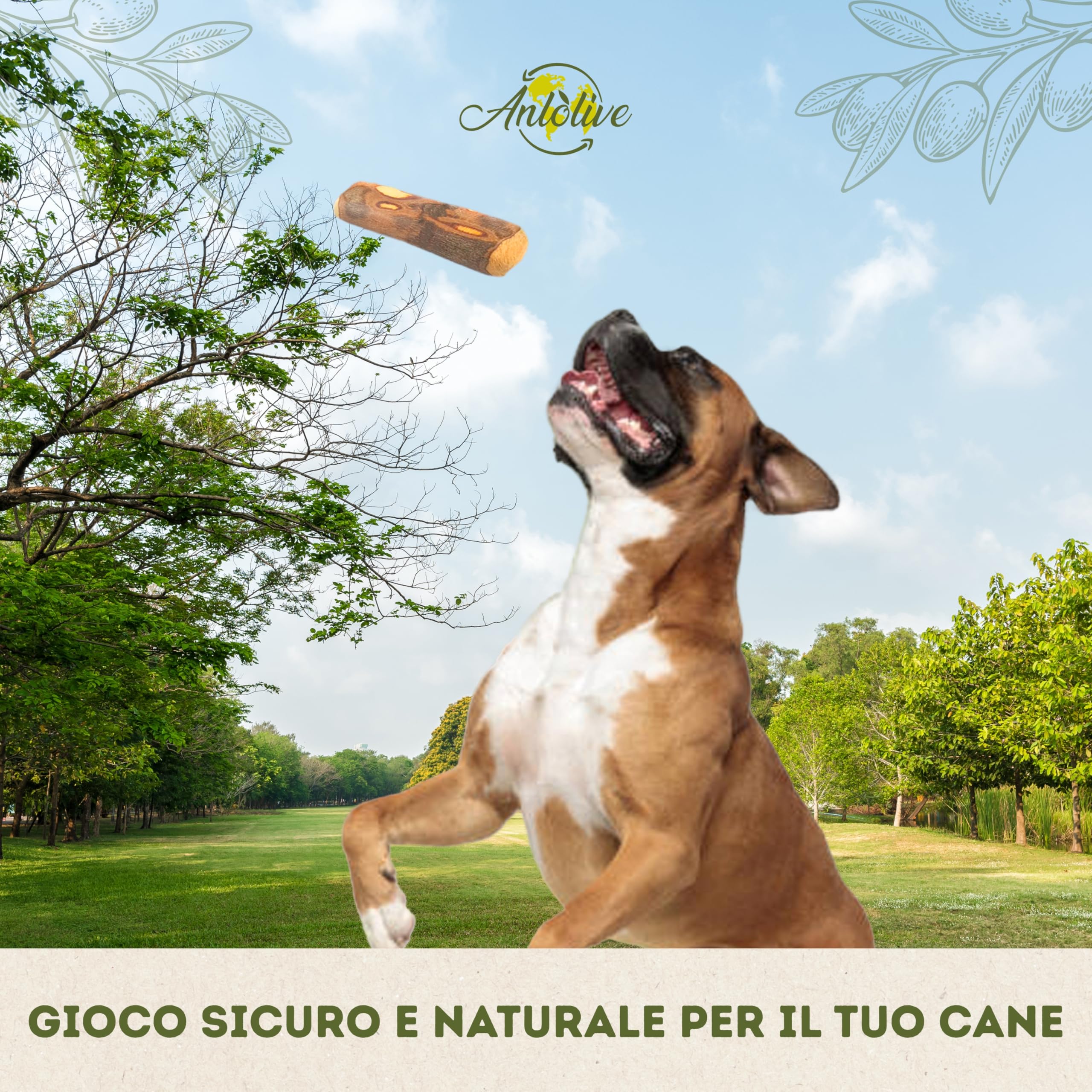 Set 2 Giochi da Masticare Naturali Taglia L 20-23 cm Legno d'Ulivo per Cani Medi e Grandi