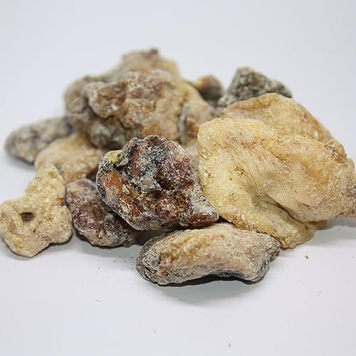 Miniatura 4 de Pinyon Pine Resina - Pinon Pine - Pinus Edulis - 2 onzas