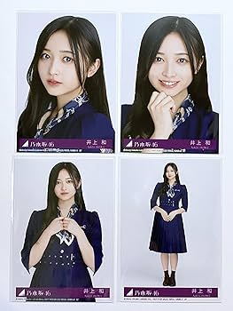 乃木坂46 生写真 井上和 アニマルルームウェア コンプ 乃木坂46 井上和 アニマルルームウェア 生写真 コンプ 12thBD