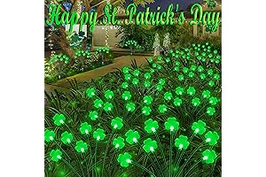 2 Pack St Patrick's Day St Patrick's Day Lights