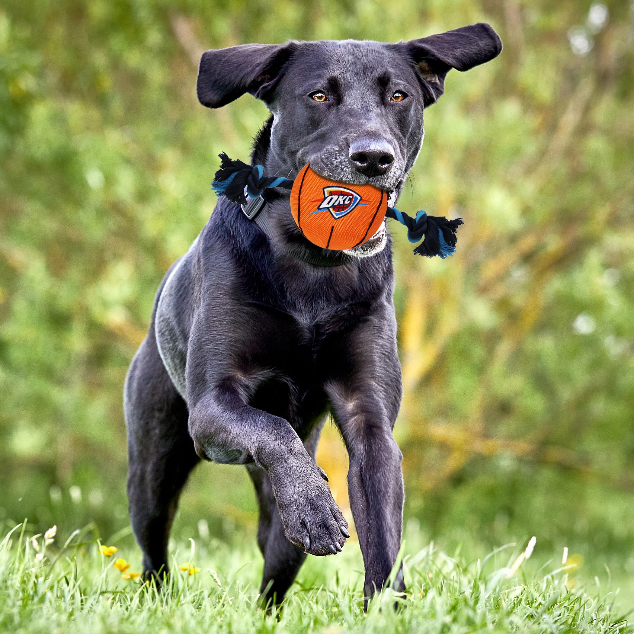 Pets First NBA Oklahoma City Thunder Basketball Toy. - Tough Nylon Pet Toy with Tug Ropes & Inner Squeaker, one Size