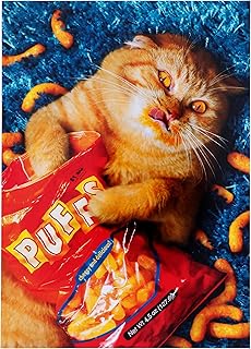 Cheese Puff Cat Stand Out Pop-Up Birthday Card