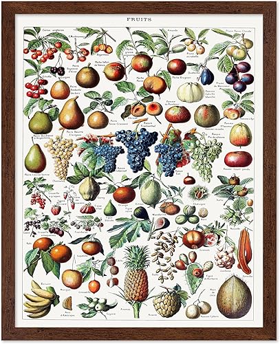 Miniatura 223 de Poster Master Póster vintage de orquídea, estampado de flores retro, arte de pared de plantas exóticas, arte botánico, regalo para hombres y