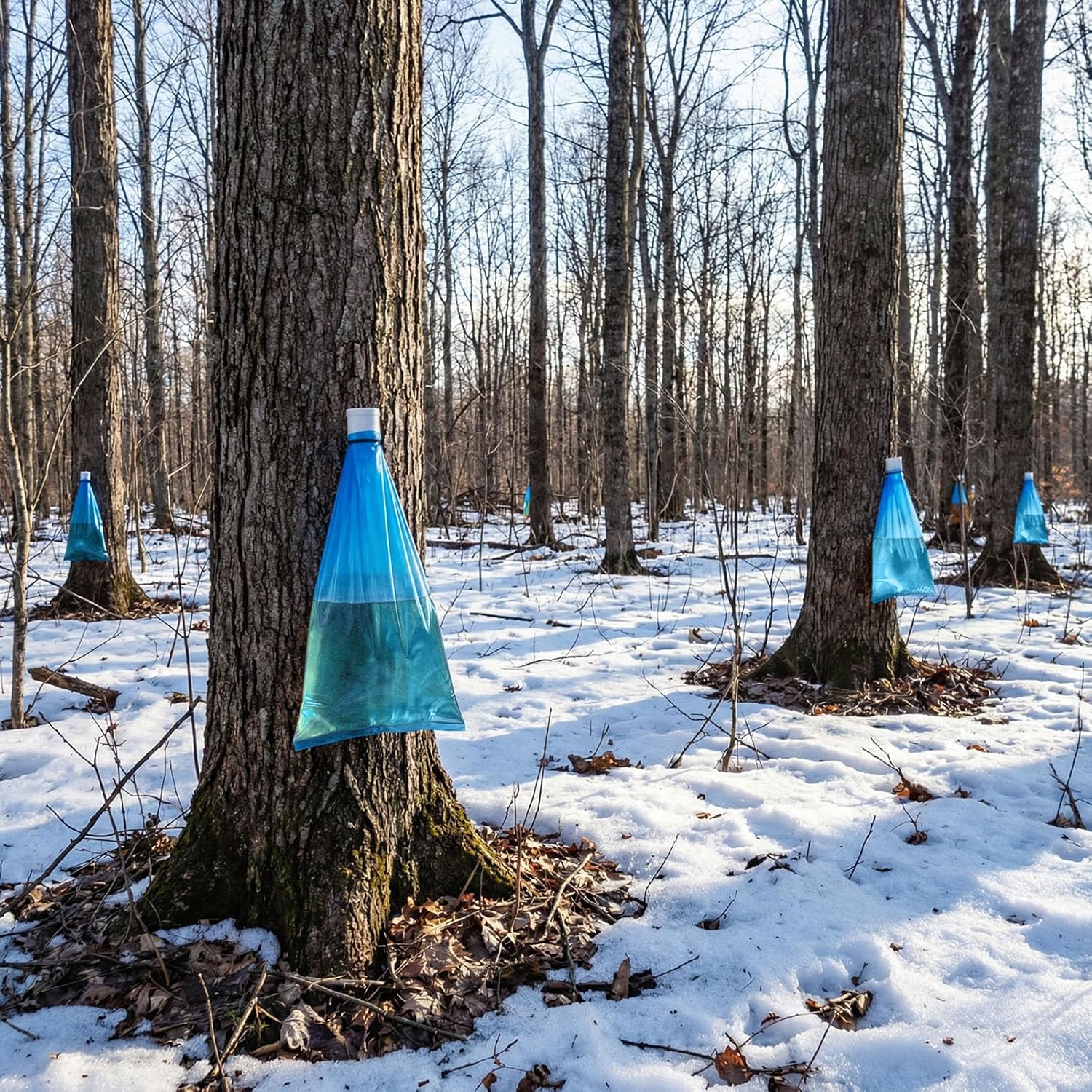 6 Maple Syrup Tapping Kit PVC Maple Sap Sack Holder, 3 Gallon Collection Bags, 5/16" Drill, Zip Ties, and Tree Sap Taps Complete Kit Big Capacity for Collection and Harvest