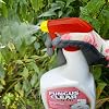 FungusClear Ultra 2, Ready to Use, 800 ml, White