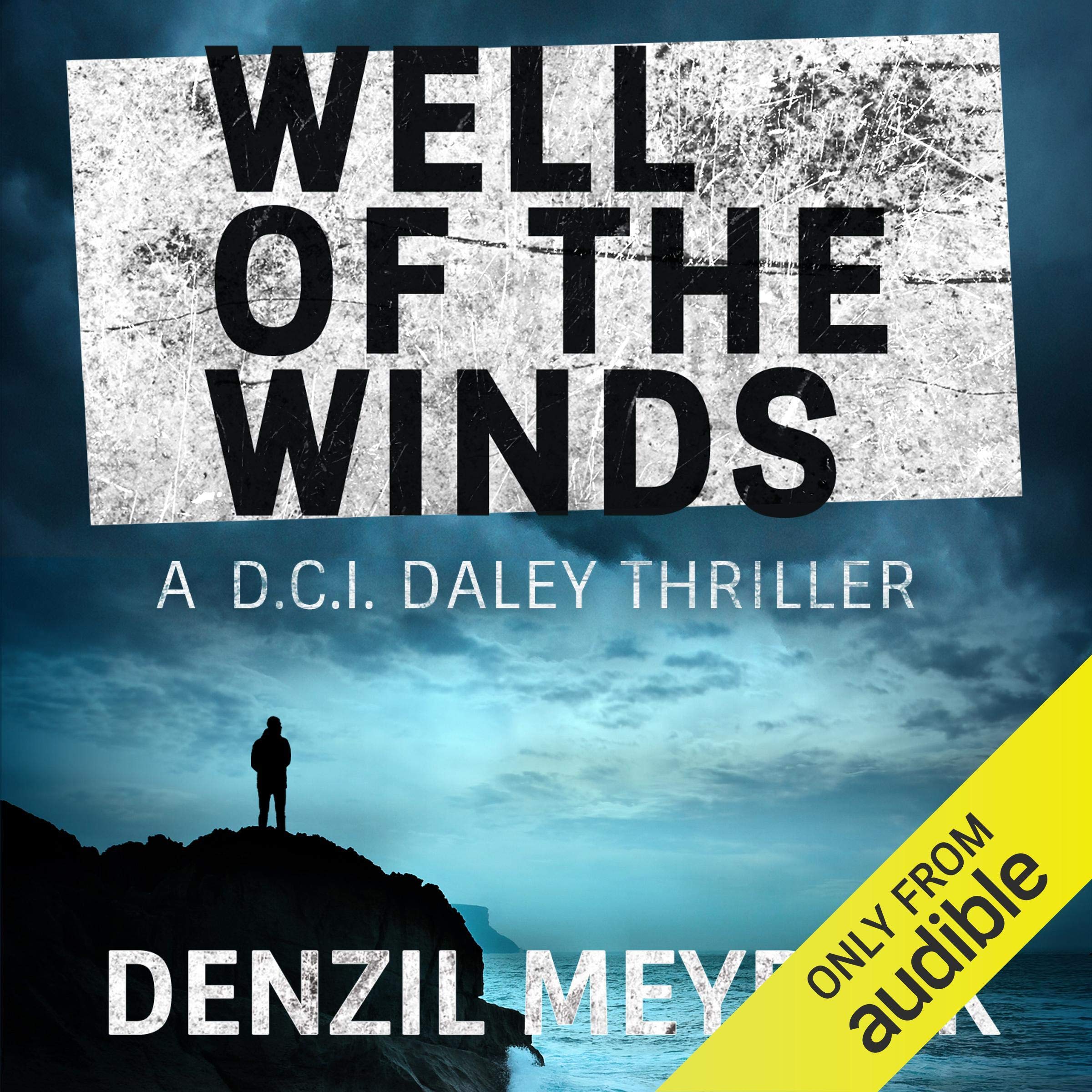 Cover art for Well of the Winds