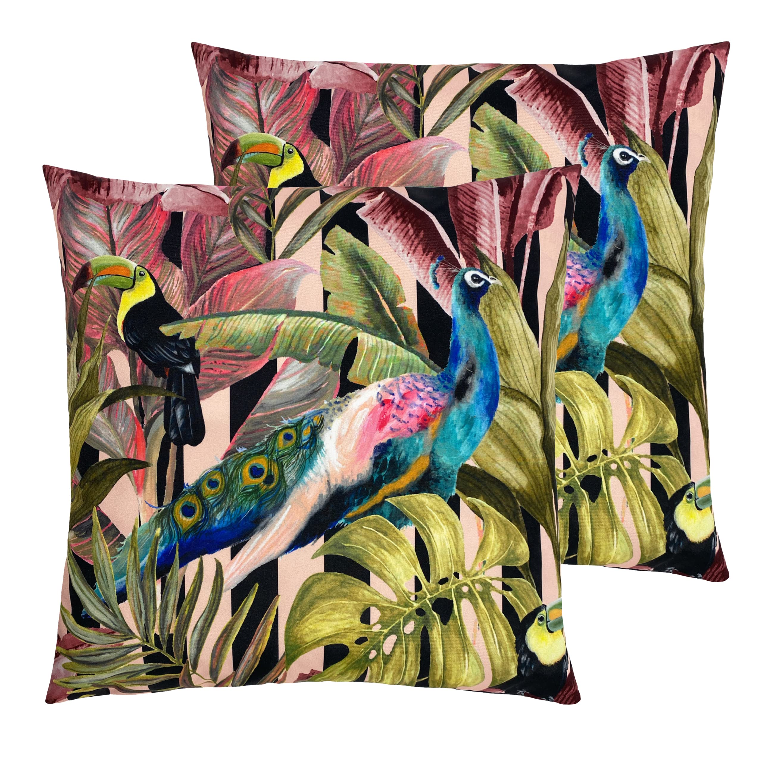 Evans Lichfield Toucan and Peacock Outdoor Cushion Twin Pack 43cm Multi