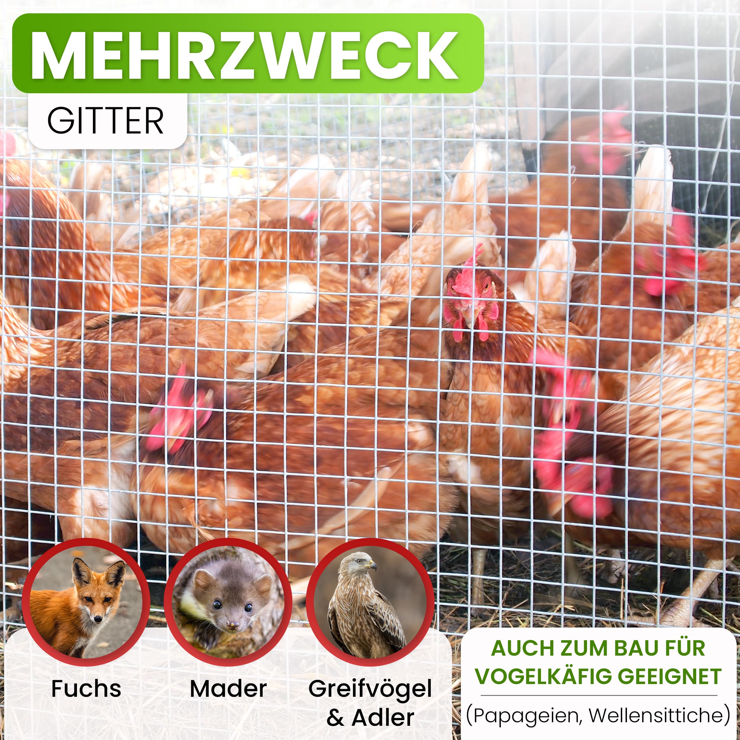 Premium siatka przeciw gryzoniom, do podwyższonej grządki od Gartenwelt Riegelsberger, 195 x 80 cm