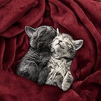 Vista 572 de Utopia Bedding - Manta de vellón de lujo, mullida, antiestática; manta de suave microfibra de 8.8 oz/yd² (300 g/m²) para cama; tamaño individual