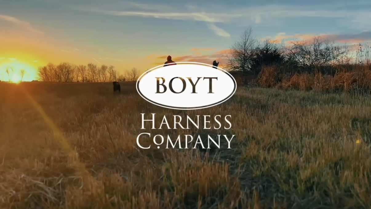 Amazon.com : Boyt Harness Two Barrel Set Takedown Case with Pocket