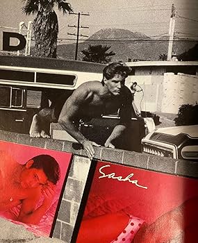 レイ　 vintage bruce weber summer diary Per Lui Edizione Speciale: Bruce Weber Summer Diary 1986: Weber