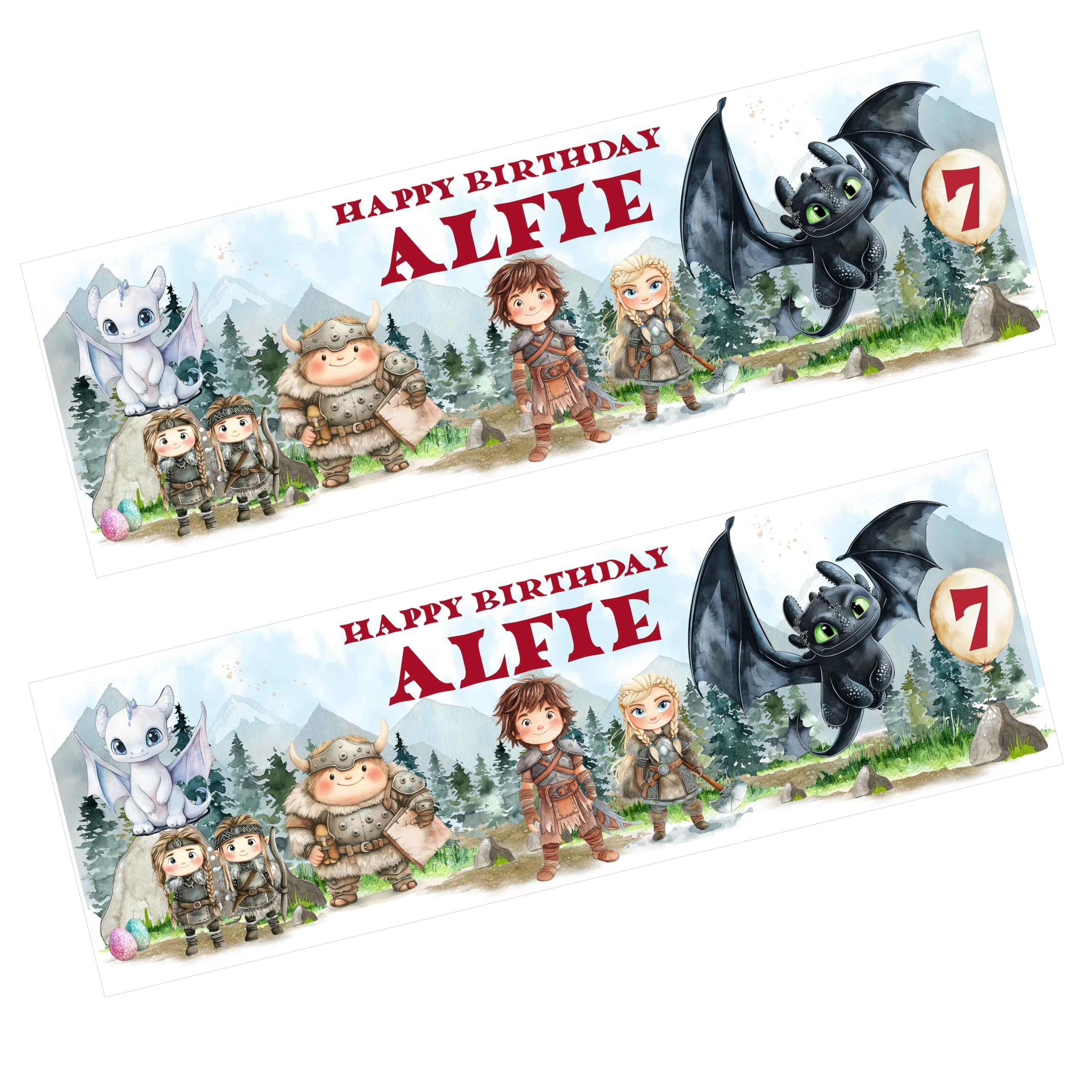 Dragon Personalised Party Banner. Party Decoration, Birthday Gift, Party Banners, x 2. Toothless, Night Fury Hiccup