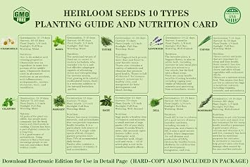 Meekear 10 Herb Seeds Garden Starter Grow Kit with Green Pots, Markers, Soil Discs, Watering, Herb Clipper, Complete Indoor Potted Plant Growing Set for Kitchen DIY