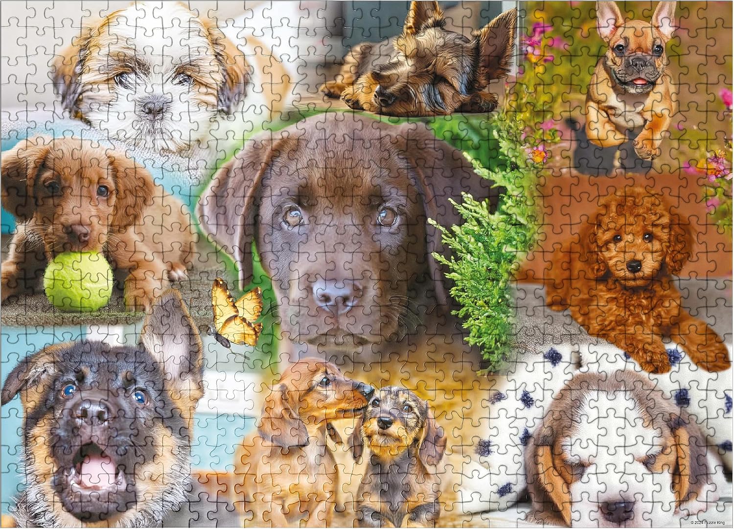 MyPuzzle Cuddle Puppies - Premium 500 Piece Jigsaw Puzzle for Adults