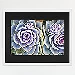 MCS 24x30 Puzzle Frame for Finished Puzzles, White Vertical & Horizontal Wall-Mounted Large Picture Display for Preservation (1-Pack)