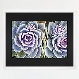 MCS 24x30 Puzzle Frame for Finished Puzzles, White Vertical & Horizontal Wall-Mounted Large Picture Display for Preservation (1-Pack)