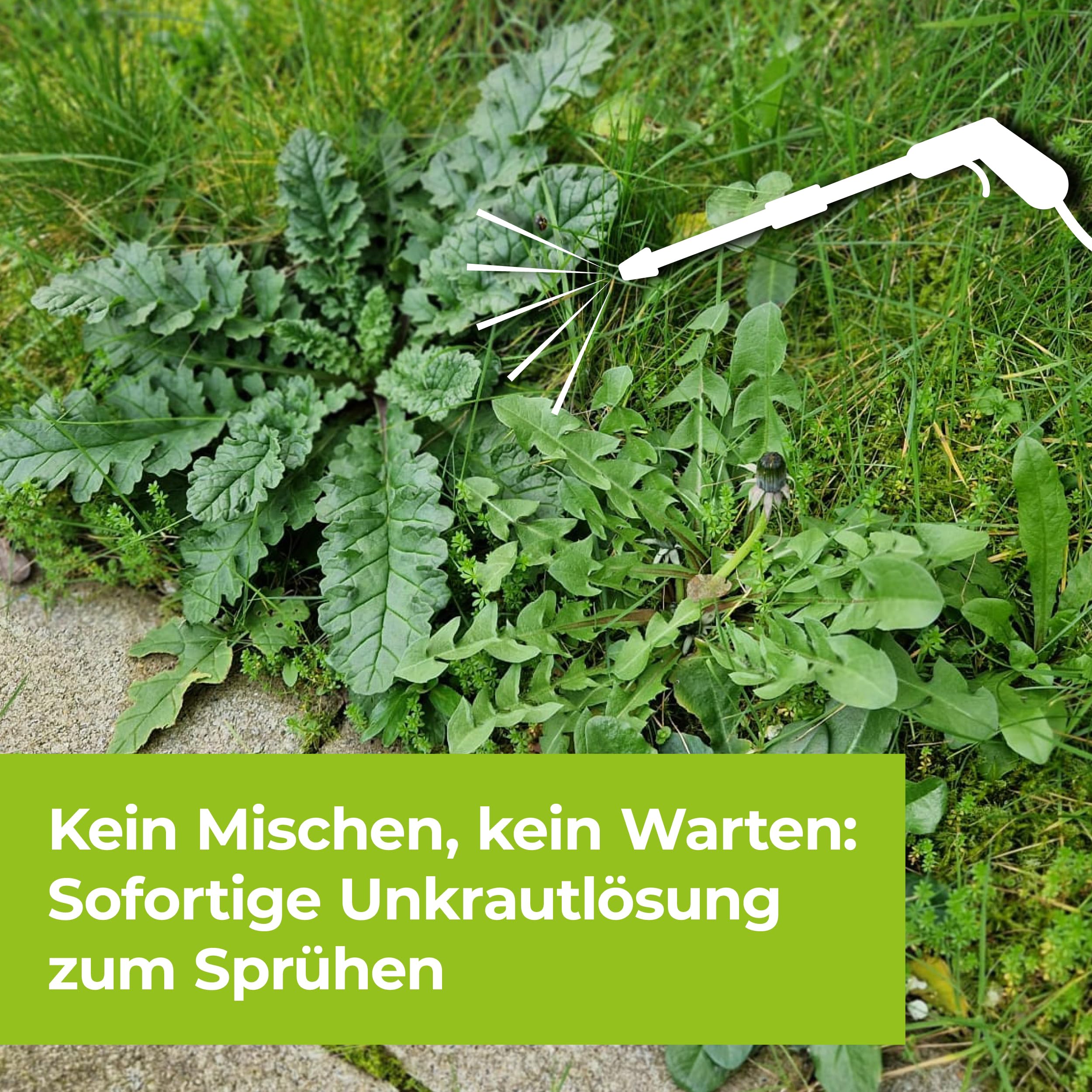 PROTECT GARDEN Permaclean Duo Unkraut & Wurzel Ex AF, anwendungsfertiger Unkrautvernichter mit Zweifachwirkung gegen Unkräuter und Ungräser, 3 Liter