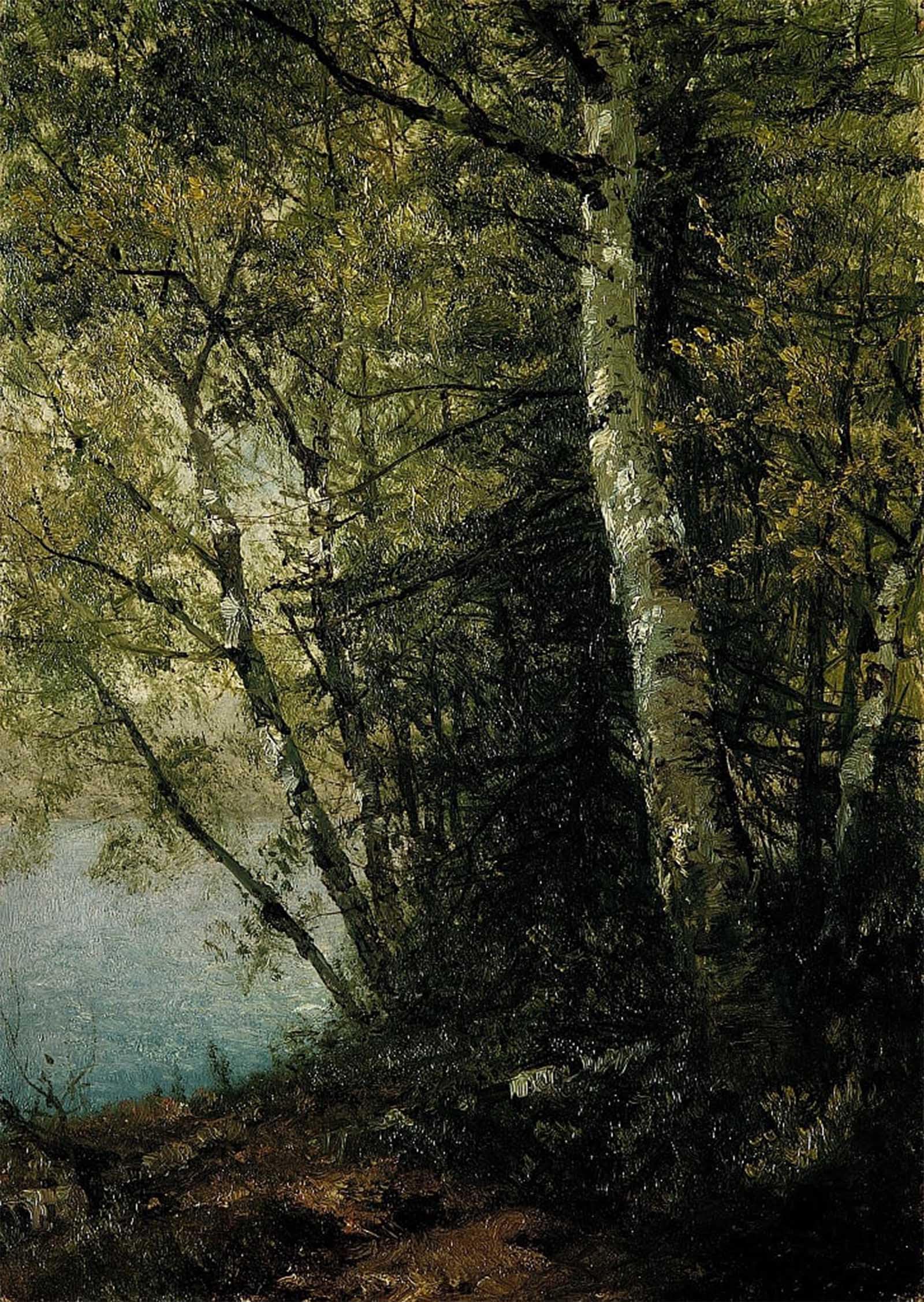 POSTERIIk Vintage Art Print Images Pictures Print Study of Beeches by Frederick Kensett Modern Colour Posters for Office Home Decor 60x90cm