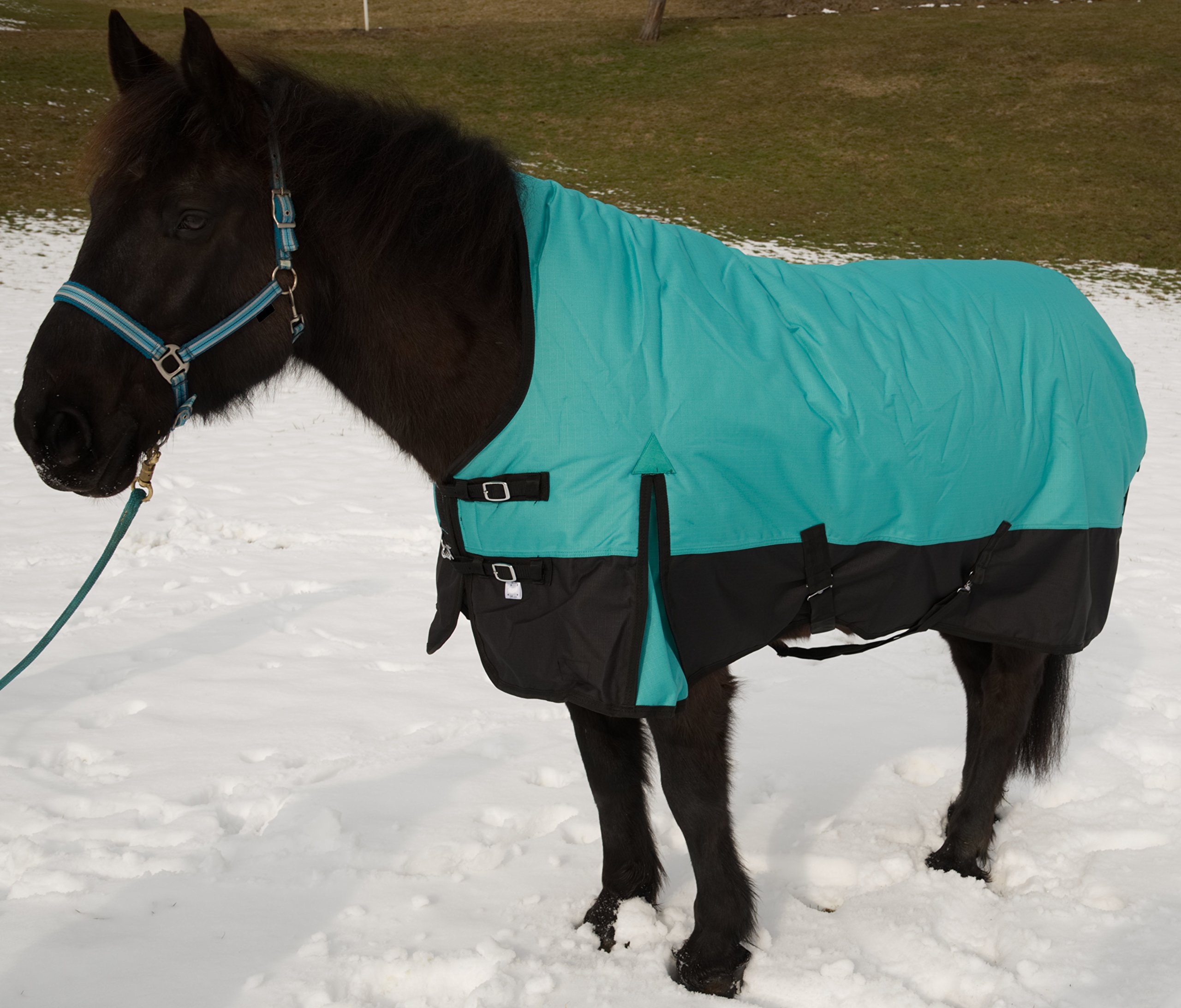 Pferdedecke Winter Ripstop 1200D 400g Füllung hoher Nackenschutz Türkis/Schwarz