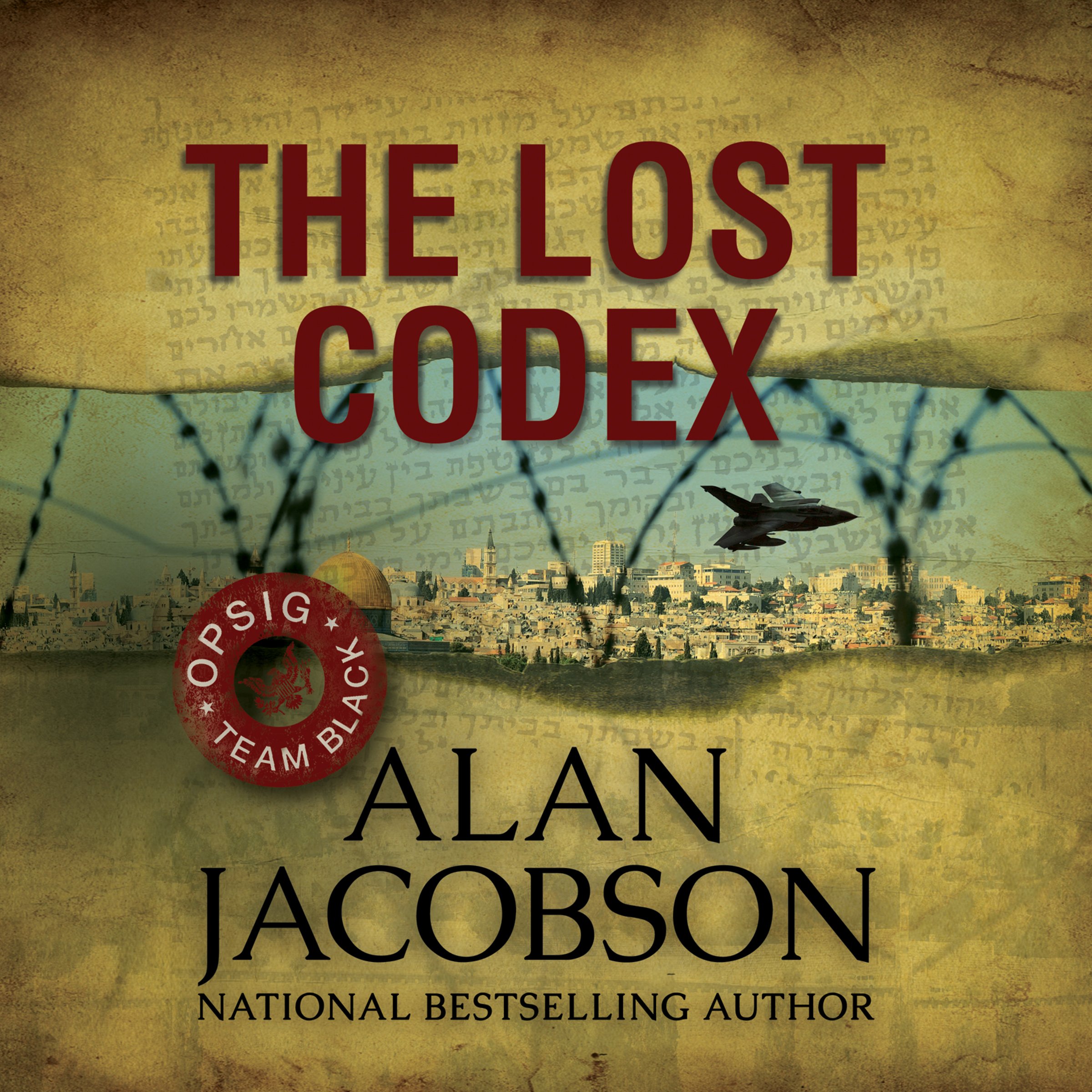 Cover art for The Lost Codex